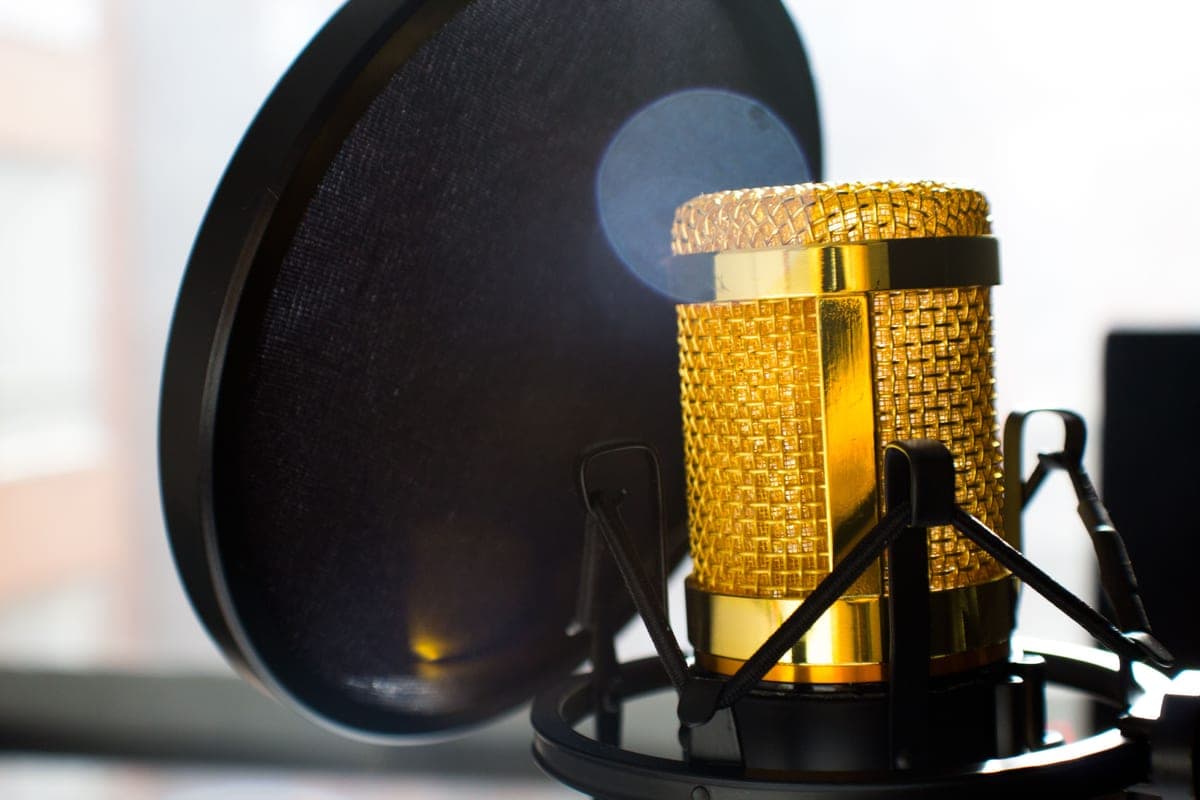A pop filter on a gooseneck mounted in front of a studio microphone